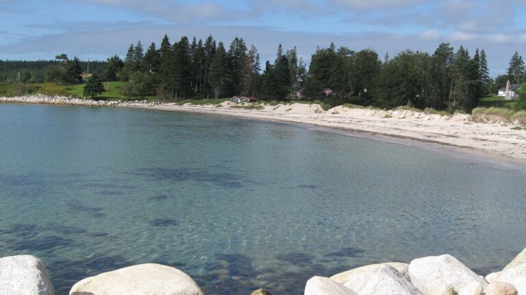 Hubbards Shore 768x432