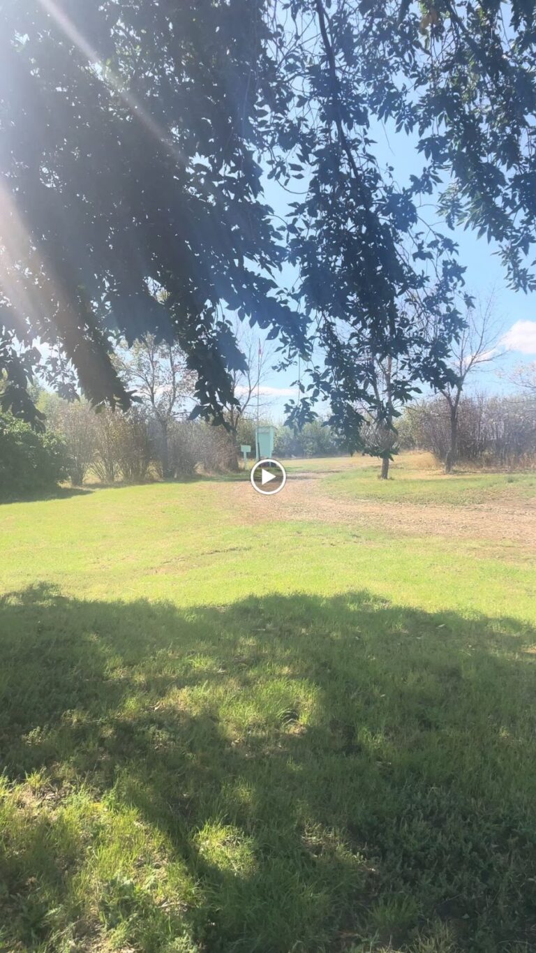 3b6b83a75d7229c9a50483b70bd1cae5621e69cd9e102854587d5a27beedb341 768x1365