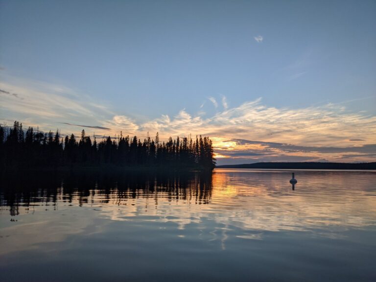 8a567899b443cdf377f90331206d269271777b85cb7699f45907d811d84db64e 1 768x576