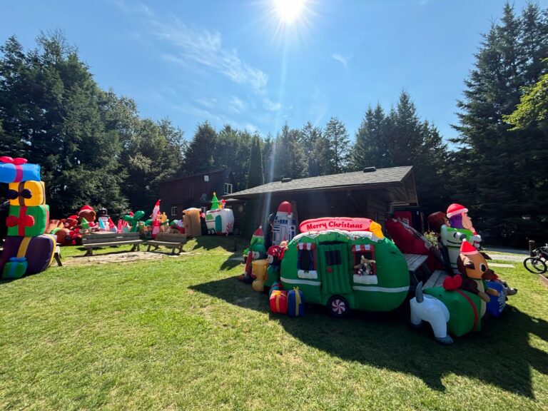 c7cc28e8b5961f9fd64ffa415cafaa78c081680e2a4c6756b3bc0d42426313a9 768x576